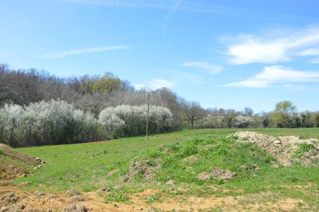 Modèles de maisons plain-pied dans le Gers